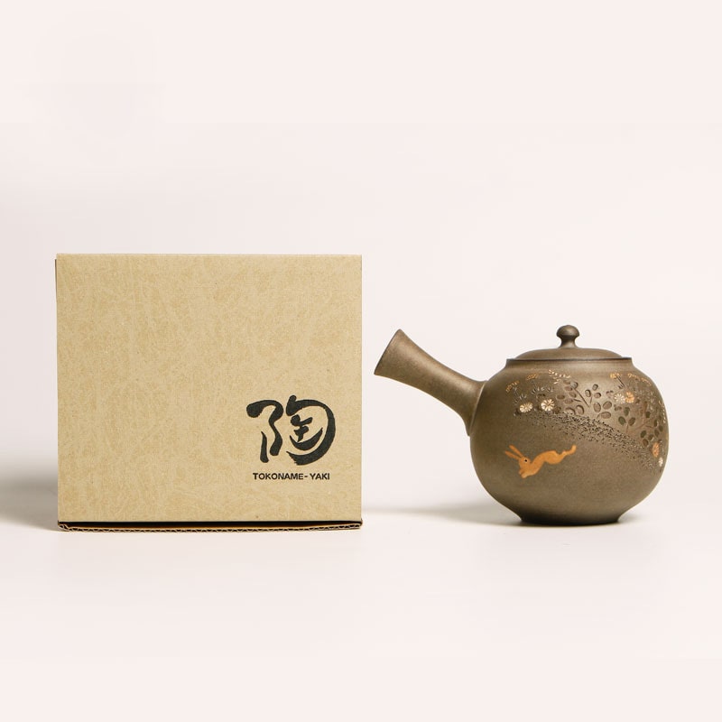 Side view of handcrafted Tokoname teapot with traditional spout