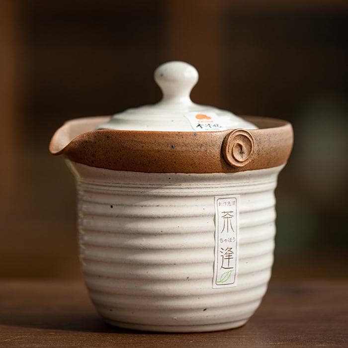 Set of Japanese Tokoname teapots in earthy tones