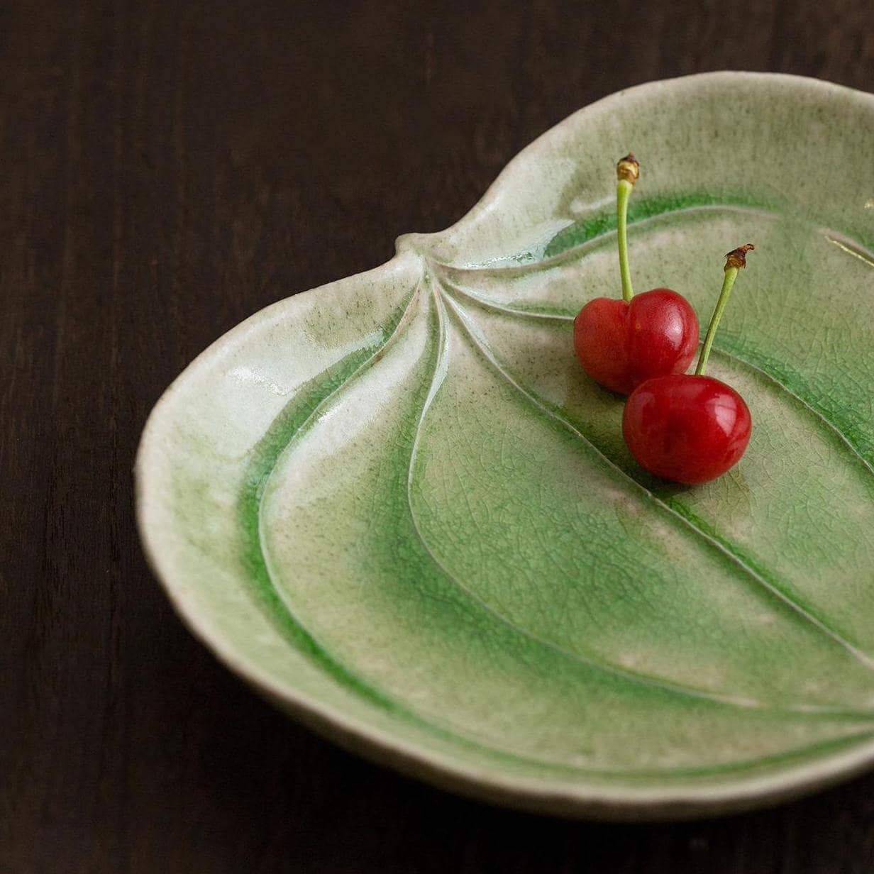 Close-up of green-glazed ceramic plate with nature-like details