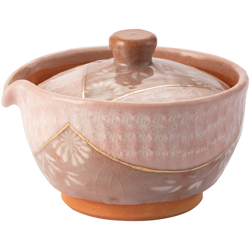 Beautiful retro-styled Japanese teapot and tea cup in natural lighting.