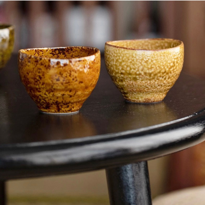 Handcrafted Japanese Sake Cup Set - Textured Multi-Glaze in Artisan Box